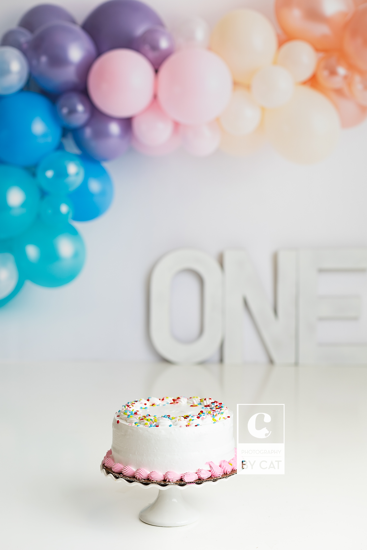 Lansing, Michigan cake smash photos