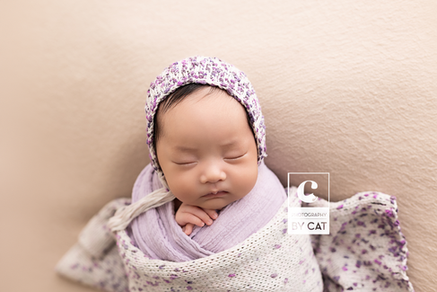 Lansing, Michigan newborn photographer