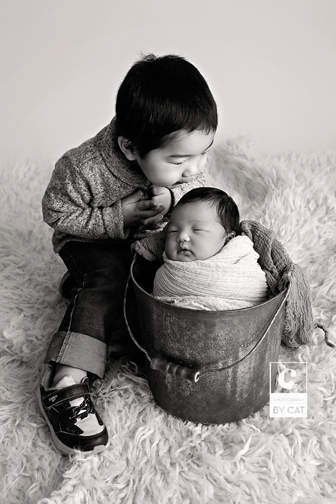 Livonia, Michigan Newborn Photographer