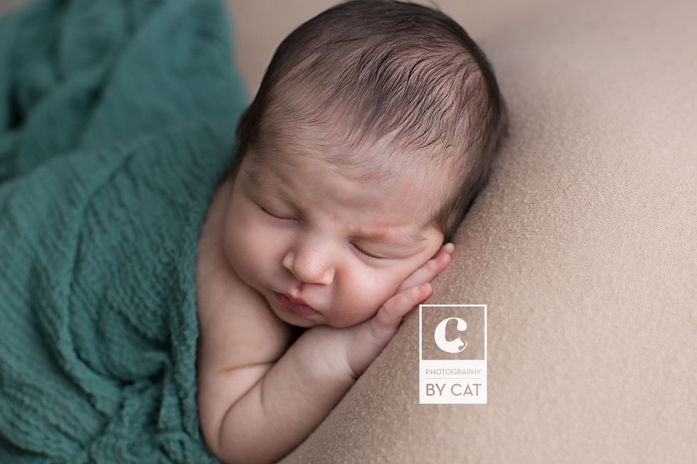 Okemos, Michigan Newborn Photographer 