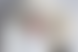 Okemos, Michigan Newborn Photographer 