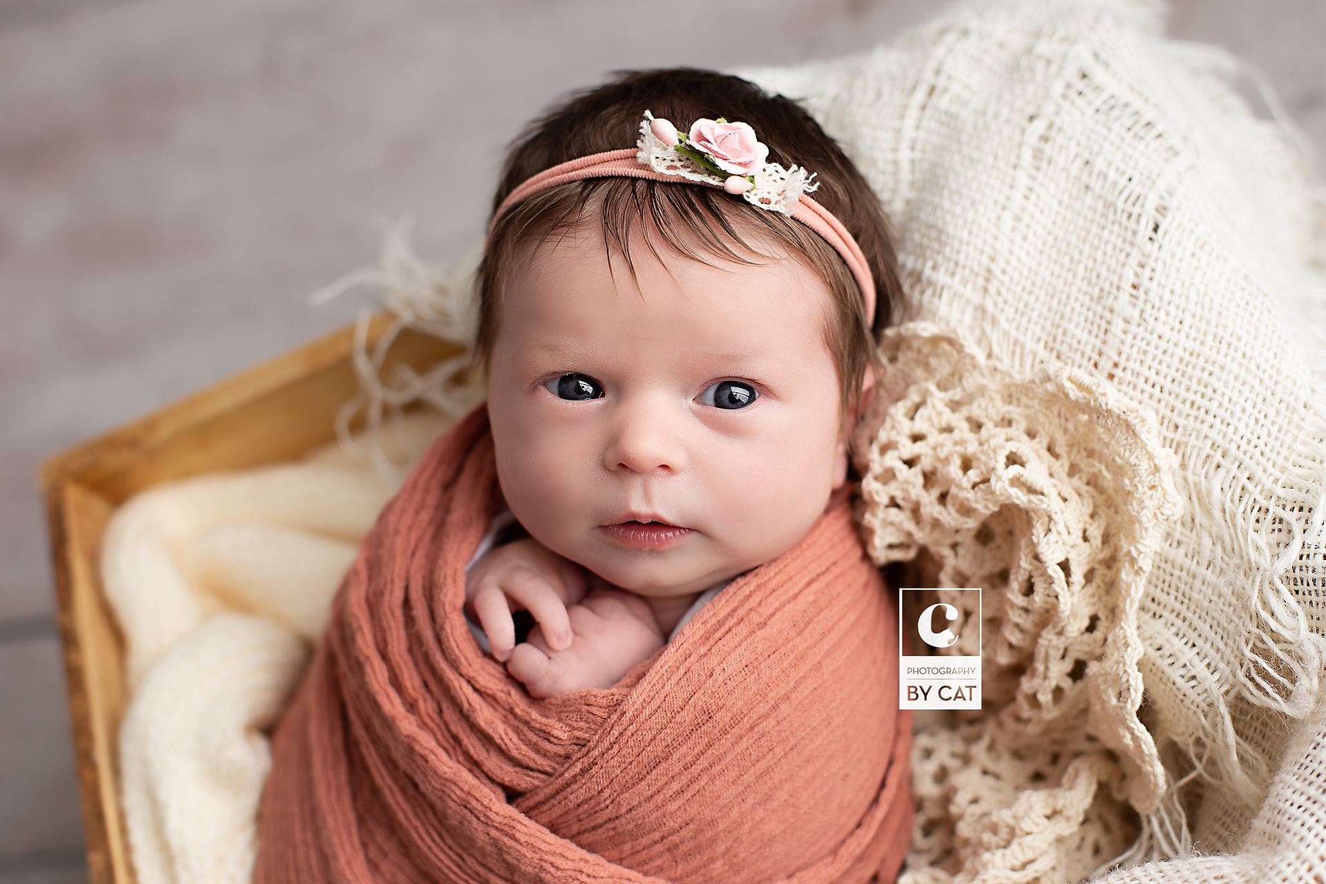 Metro Detroit, Michigan Newborn Photographer