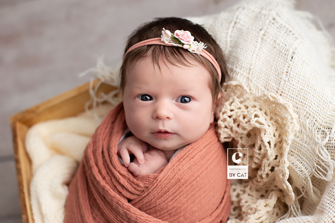 Metro Detroit, Michigan Newborn Photographer