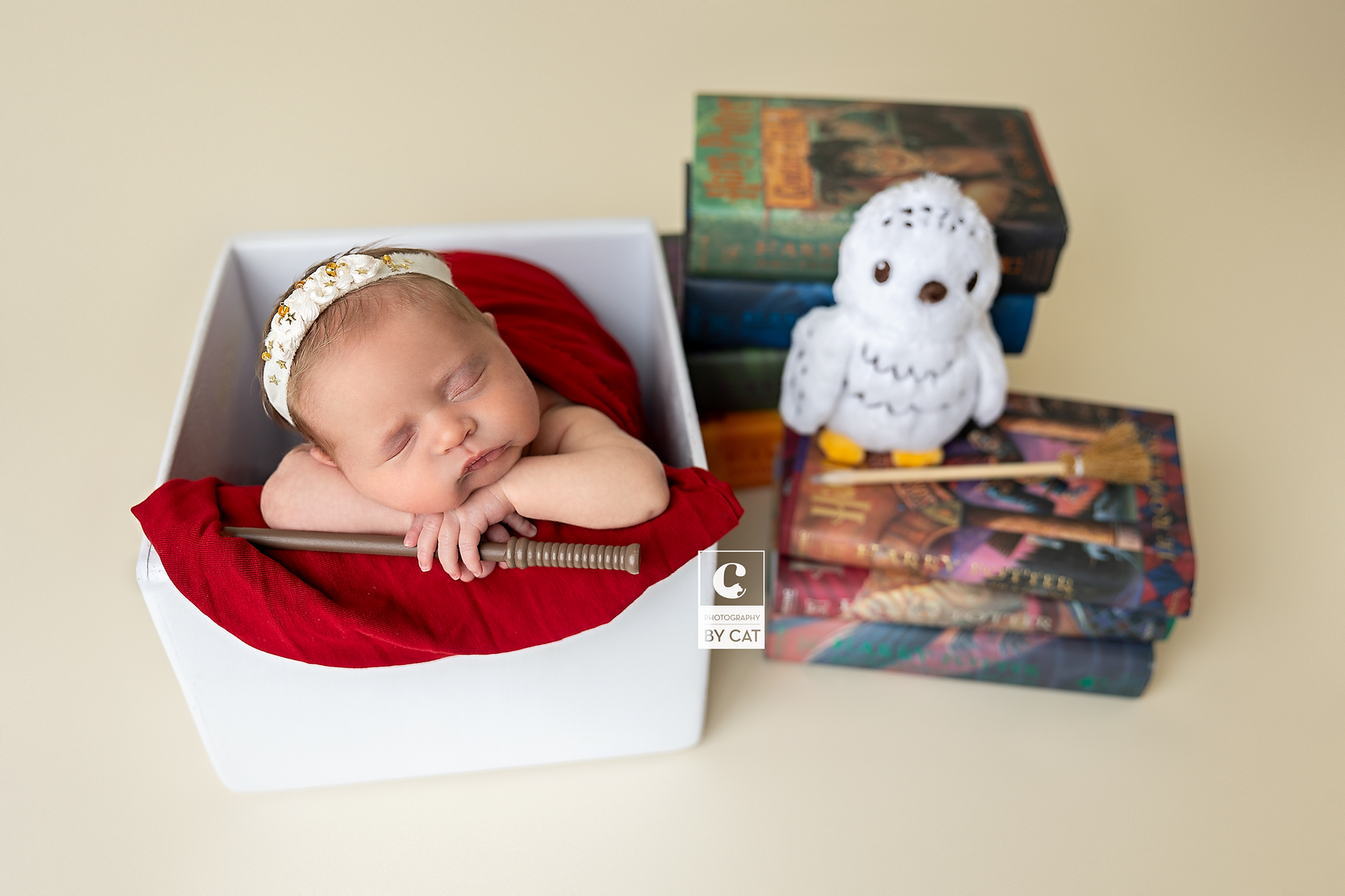 Lansing, Michigan newborn photographer