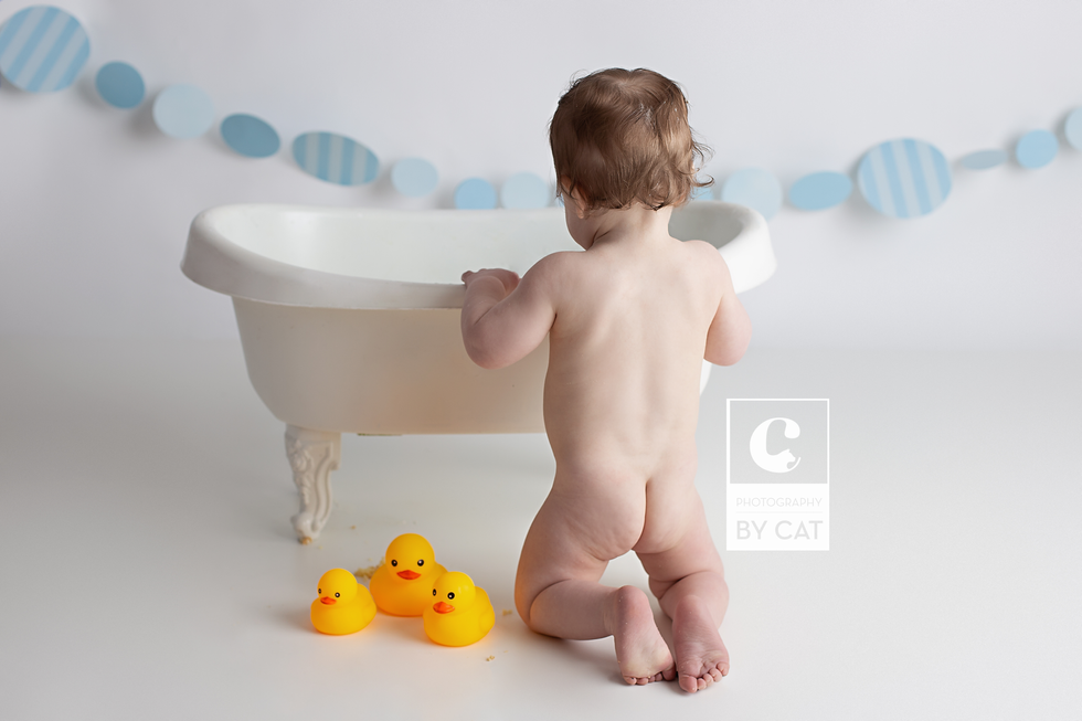 Metro Detroit, Michigan Newborn Photographer