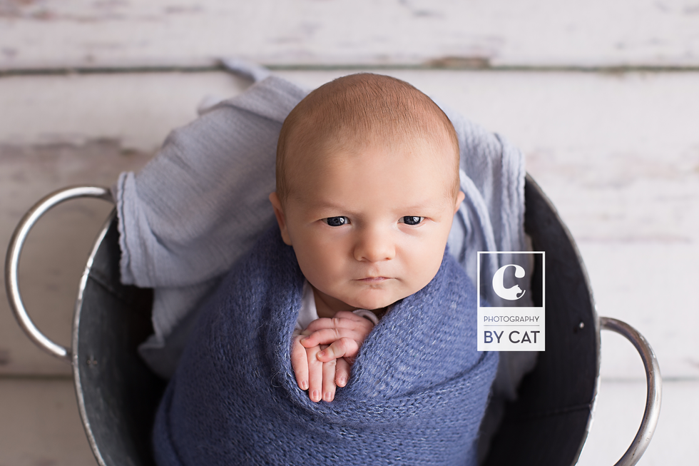 Michigan Newborn Photographer