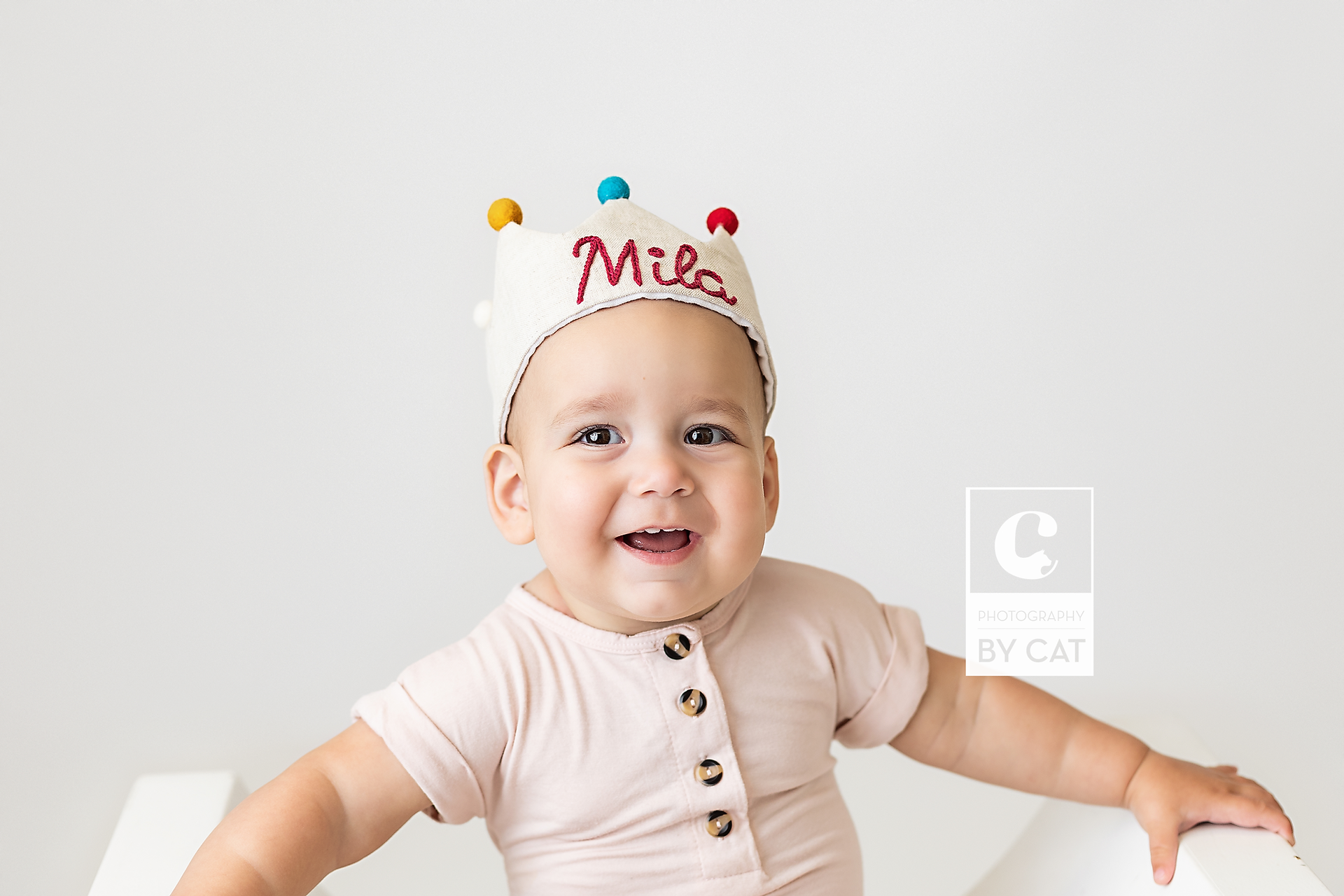 Lansing, Michigan cake smash photographer