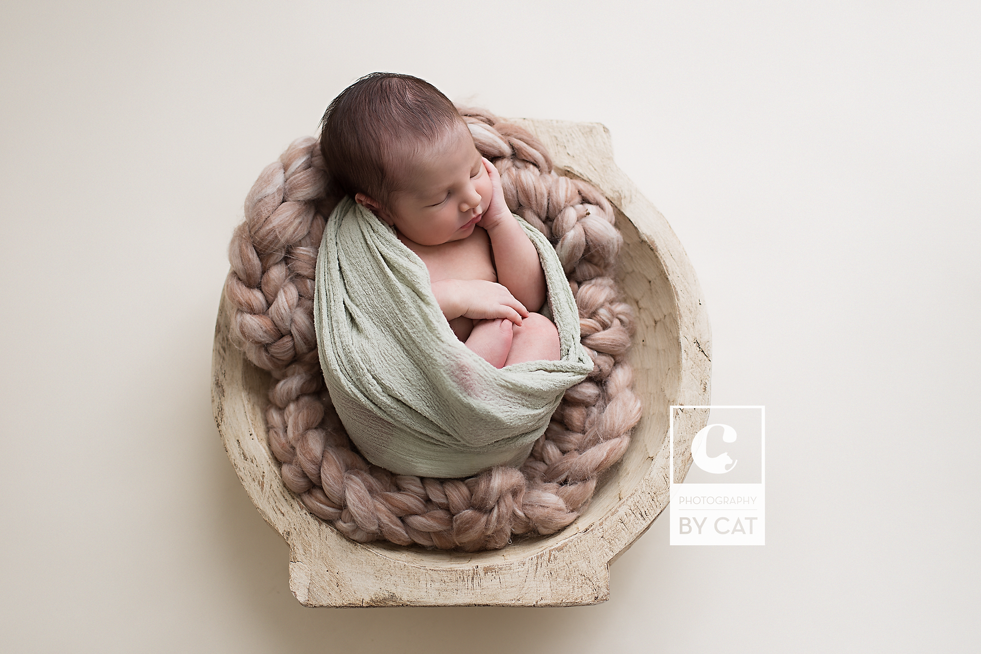 Okemos, Michigan Newborn Photographer 