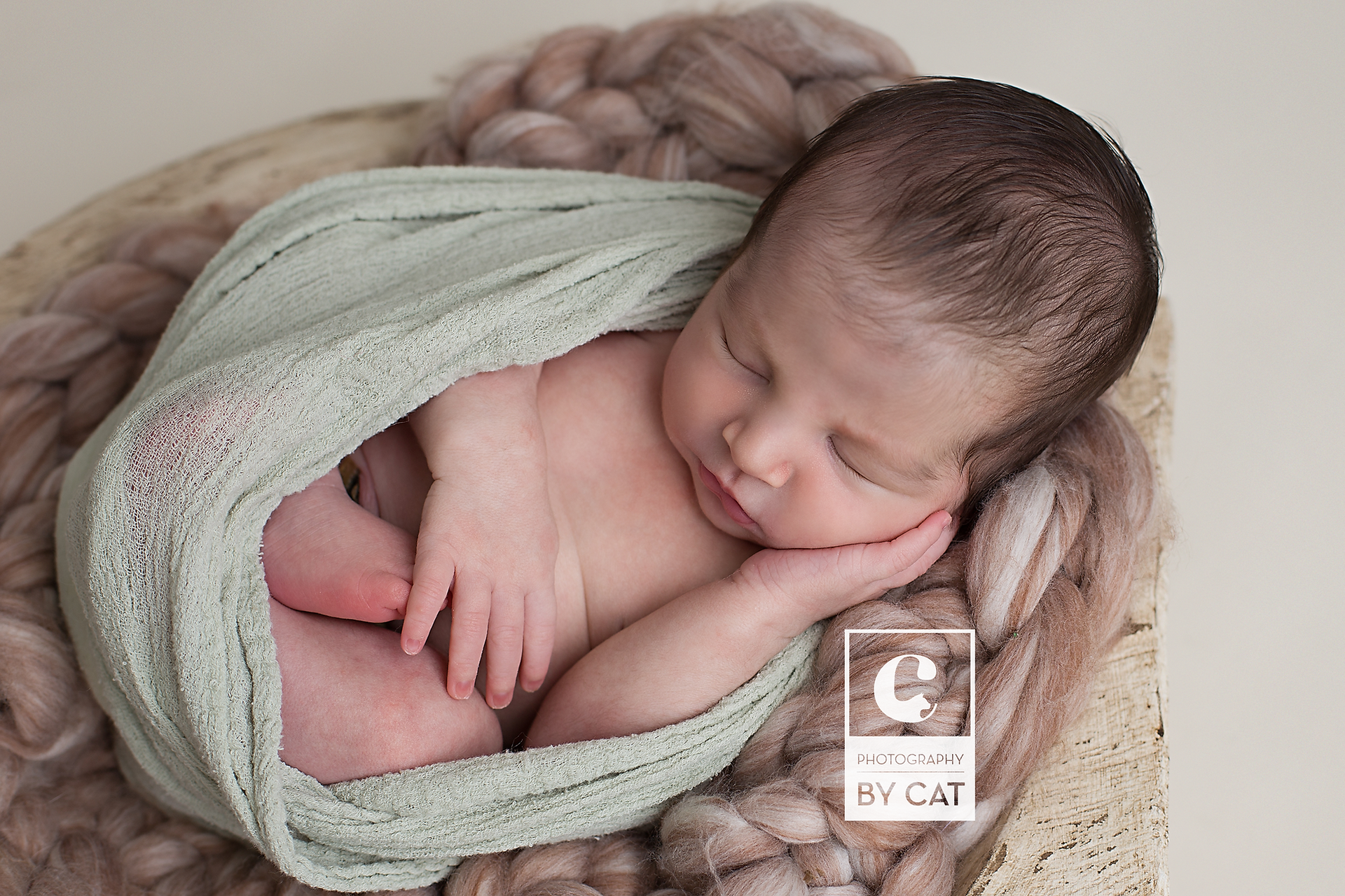Okemos, Michigan Newborn Photographer 
