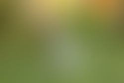 Michigan Family Photographer