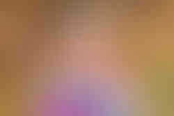 Michigan Newborn Photographer