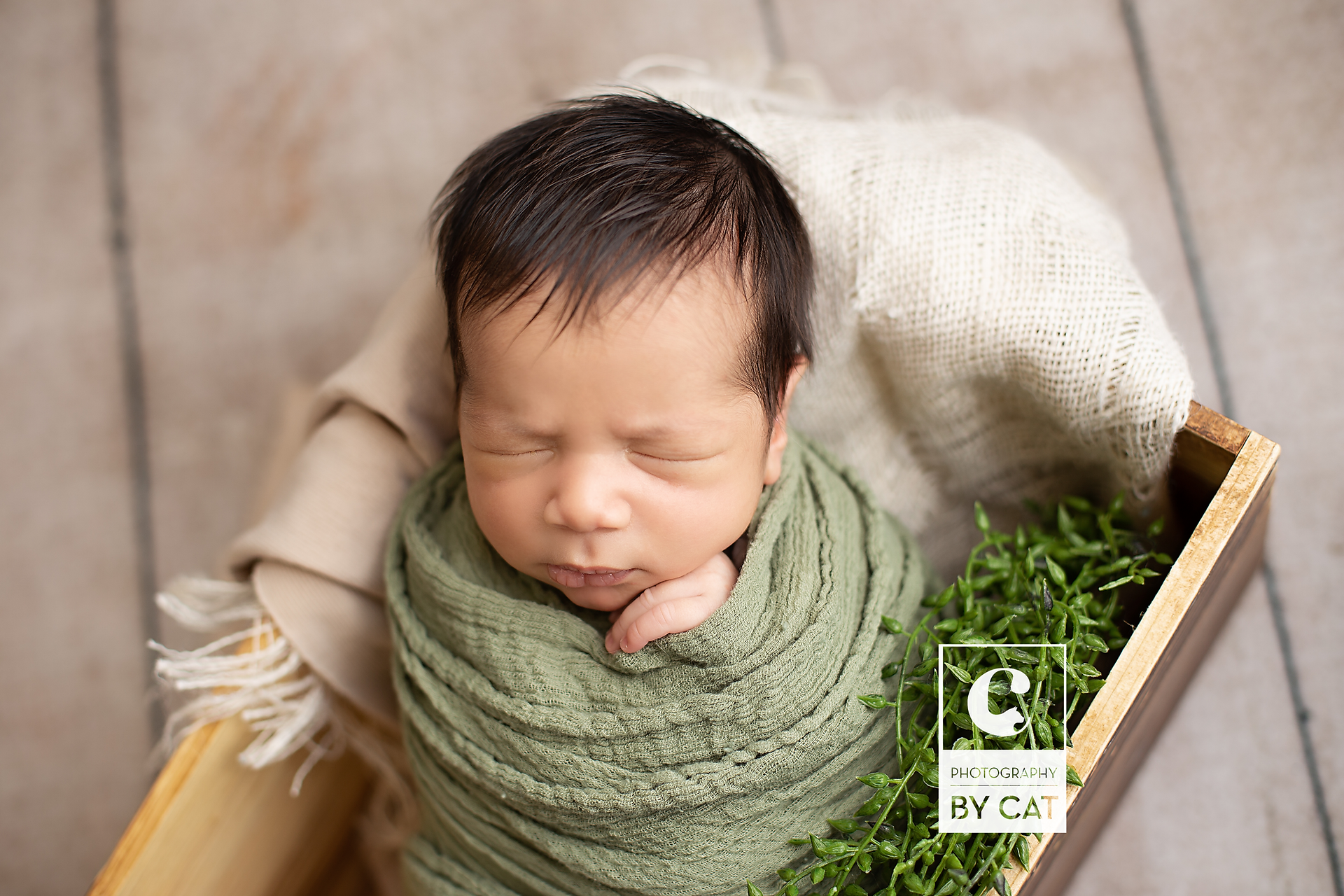 Rochester hills, Michigan Newborn Photographer