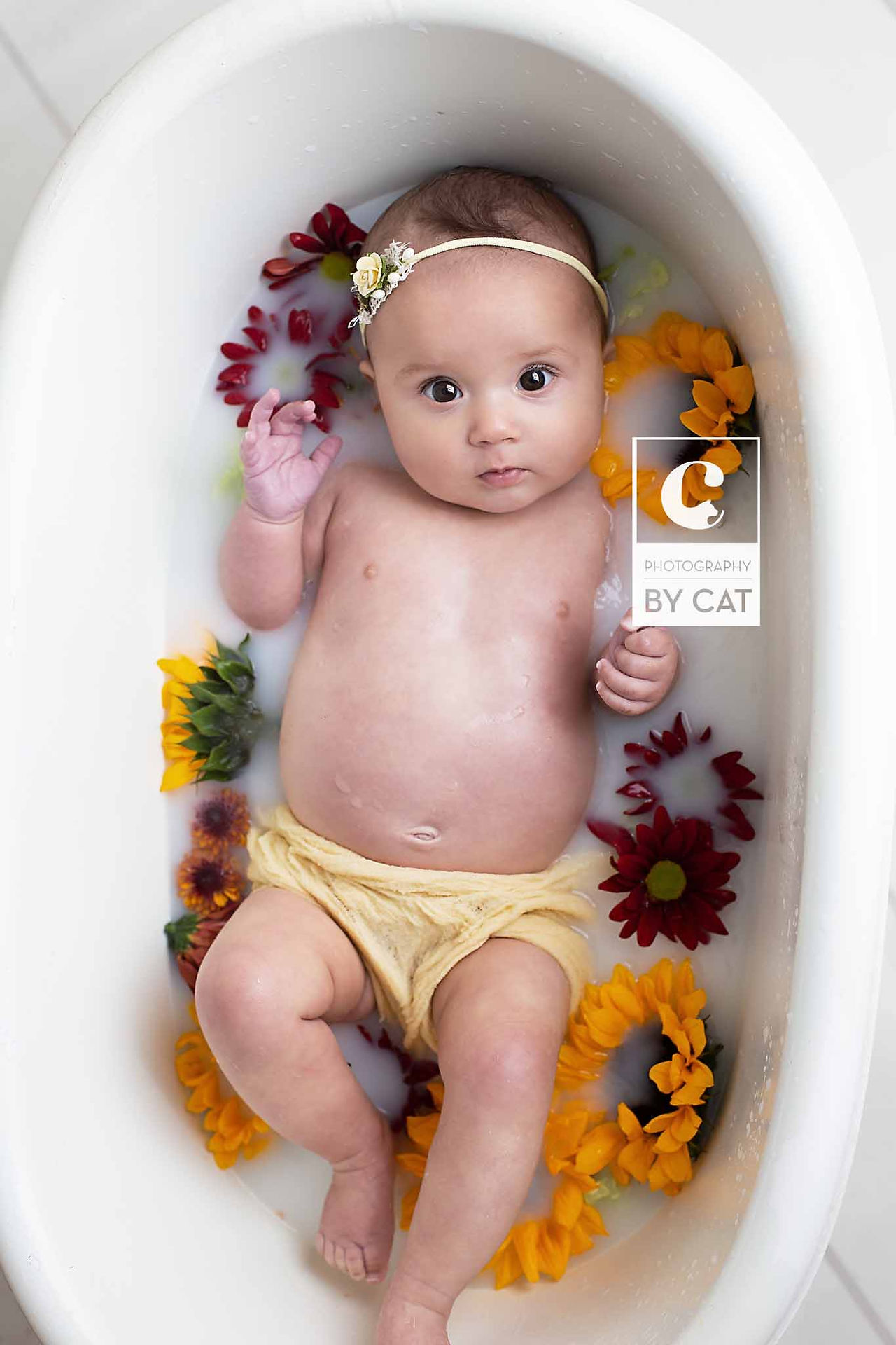 Lansing, Michigan Baby Photographer