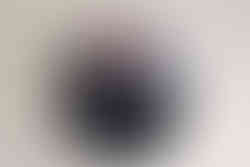 Lansing, Michigan Newborn Photographer