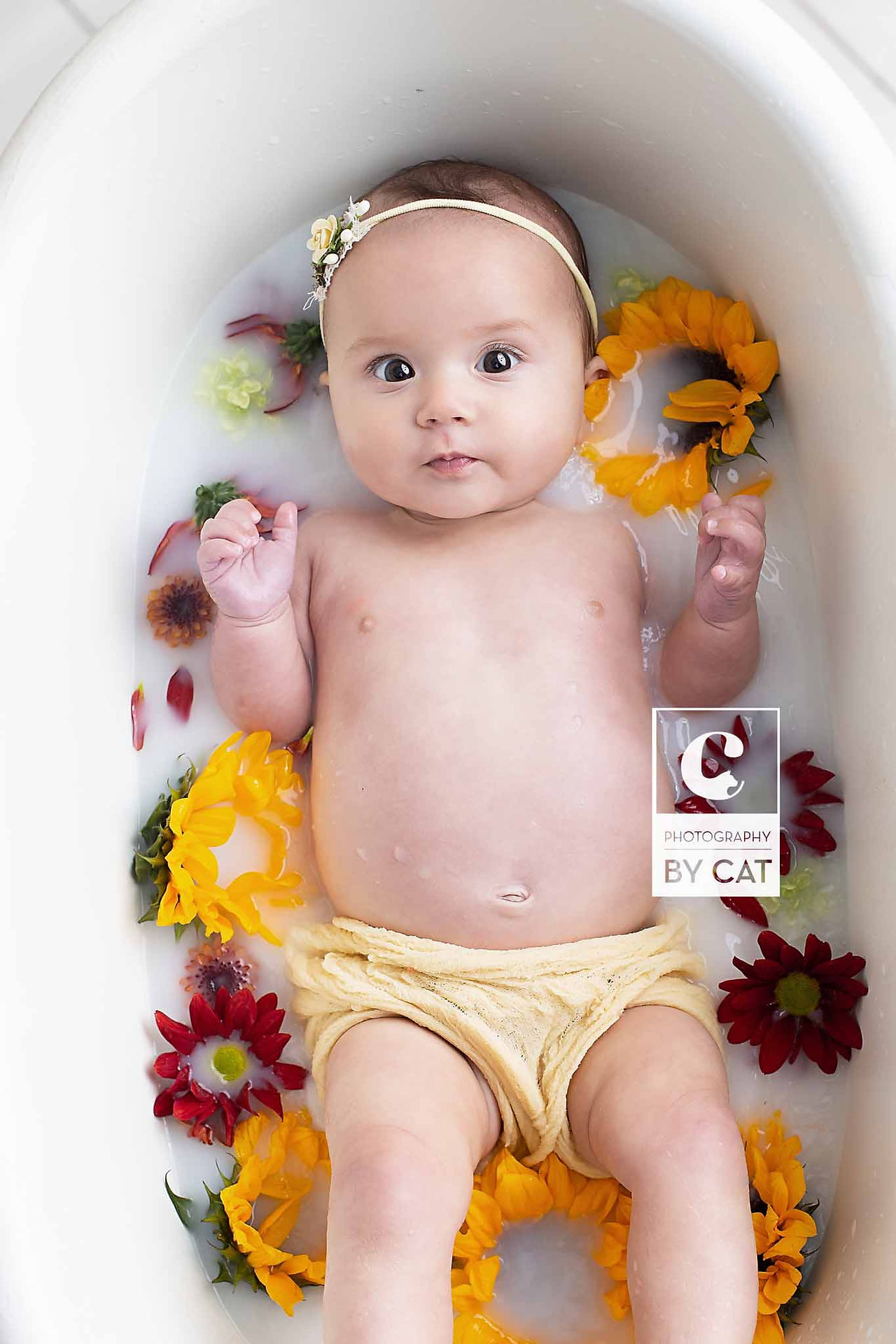 Lansing, Michigan Baby Photographer