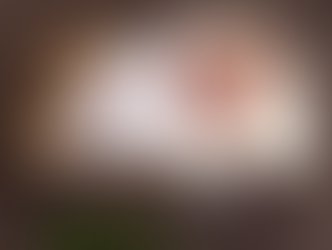 Okemos Newborn Photographer // [O] Newborn 