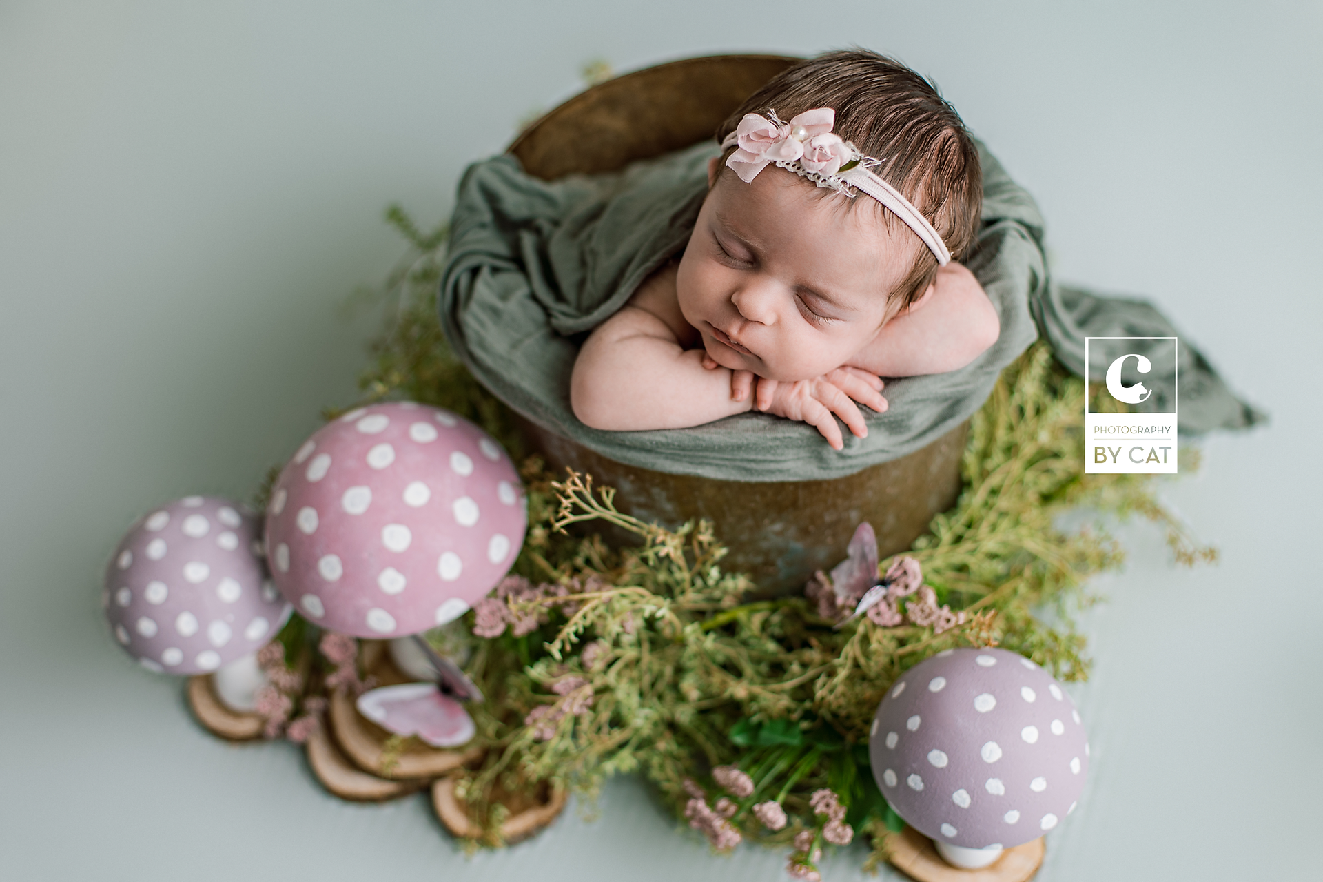 Lansing, Michigan newborn photographer