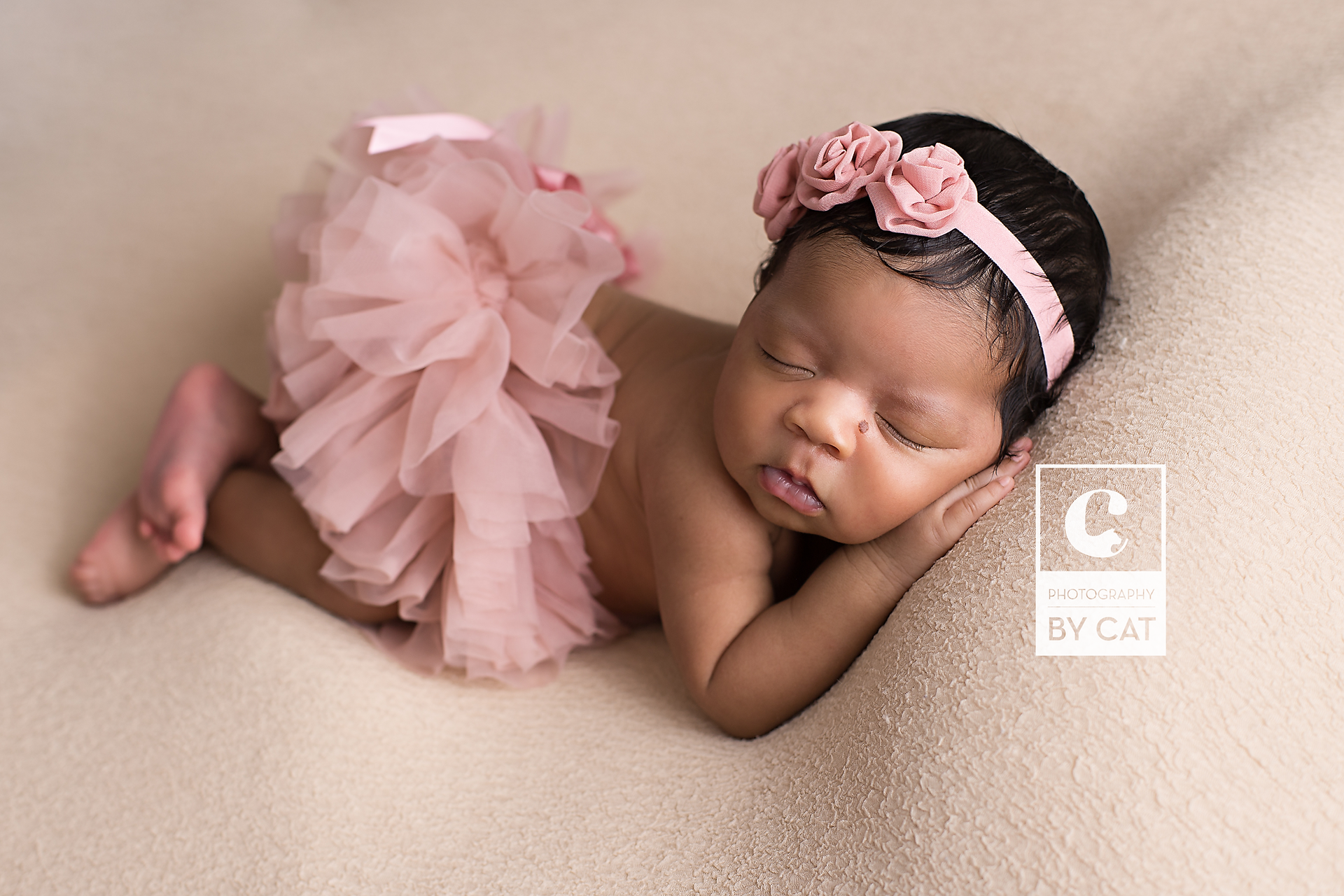 Michigan Newborn Photographer