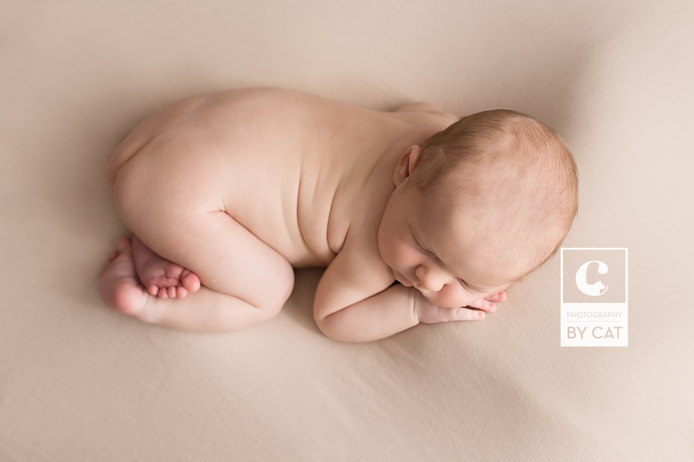 Michigan Newborn Photographer