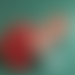 Lansing, Michigan Maternity Photographer