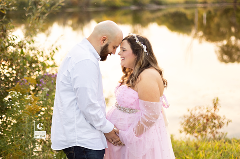 Lansing, Michigan maternity photographer 