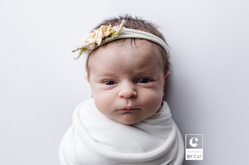 Lansing, Michigan newborn photographer