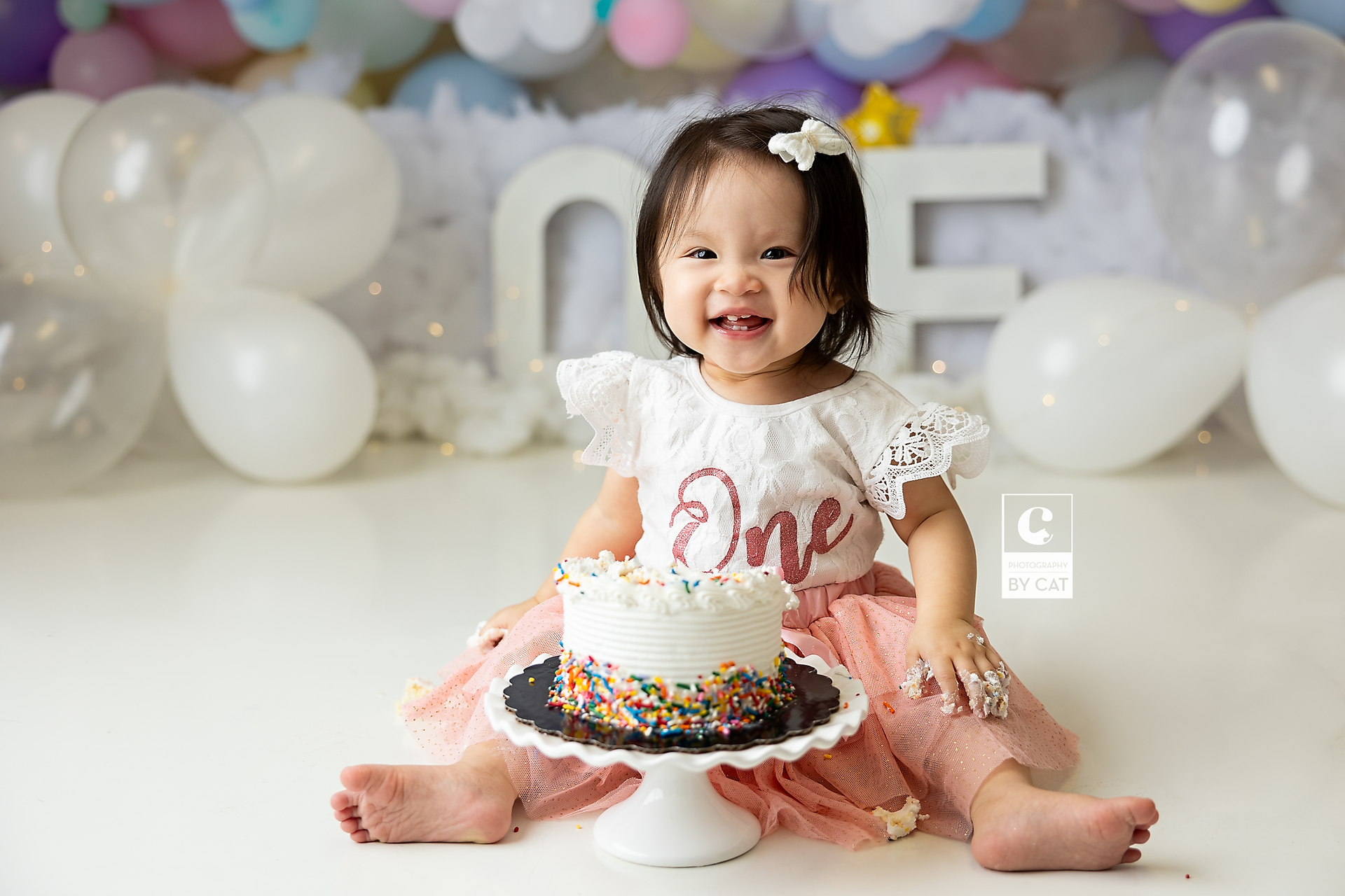 East Lansing, Michigan cake smash photographer