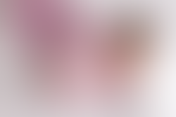 Michigan Newborn Photographer