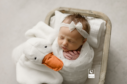 Lansing, Michigan newborn photographer