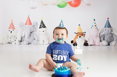 Lansing, Michigan Baby Photographer