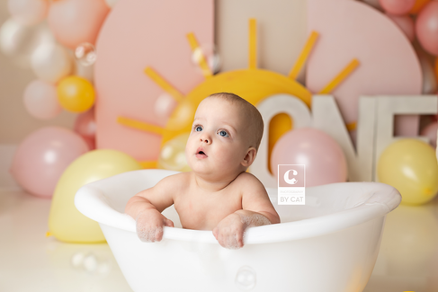 Ingham county, Michigan cake smash photos