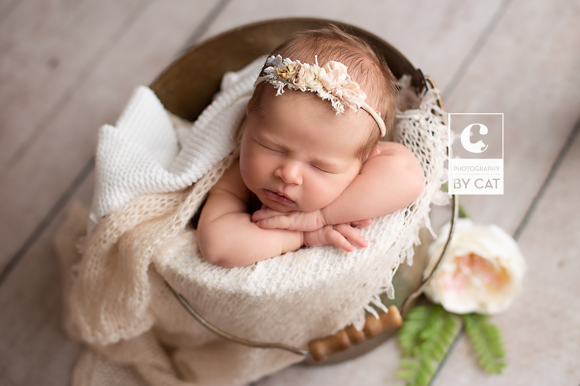 Michigan Newborn Photographer