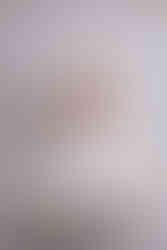 Howell, Michigan Newborn Photographer