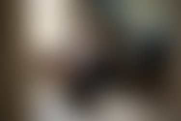 Metro Detroit Michigan Newborn Photographer