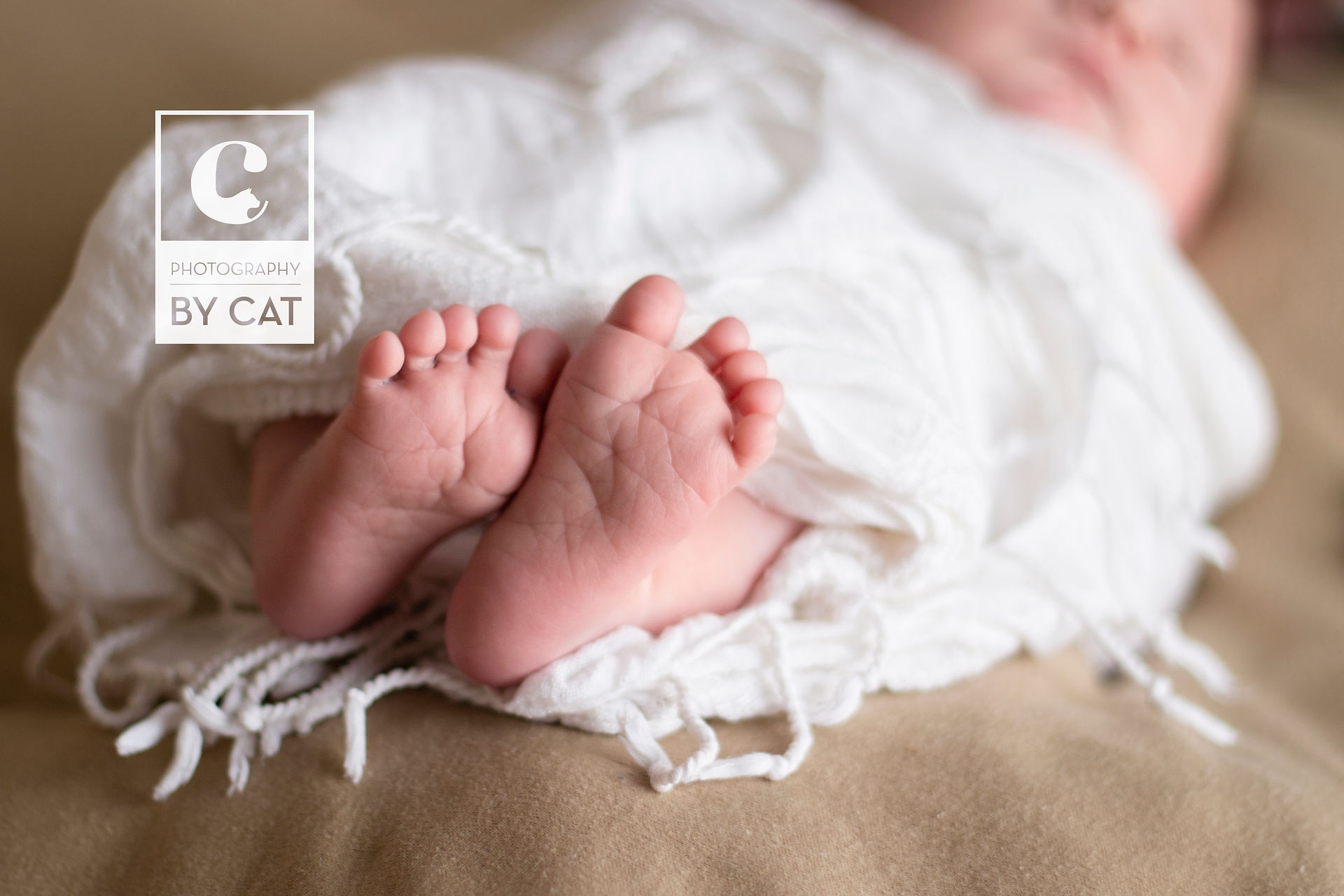 Lansing Newborn Photographer