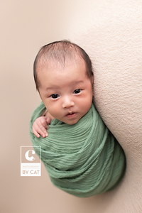 Lansing, Michigan newborn photographer