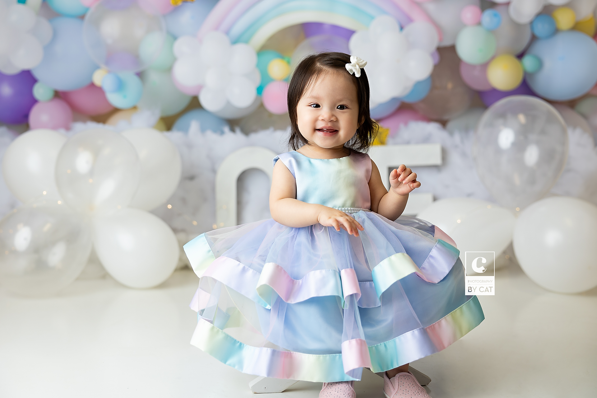East Lansing, Michigan cake smash photographer