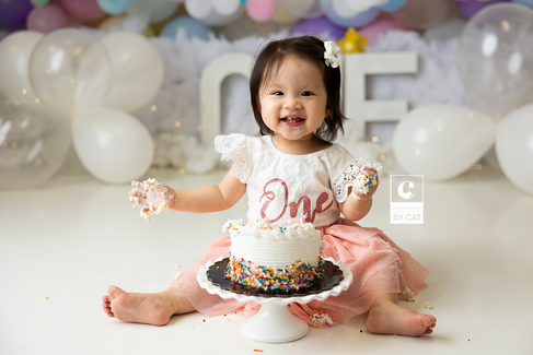 East Lansing, Michigan cake smash photographer