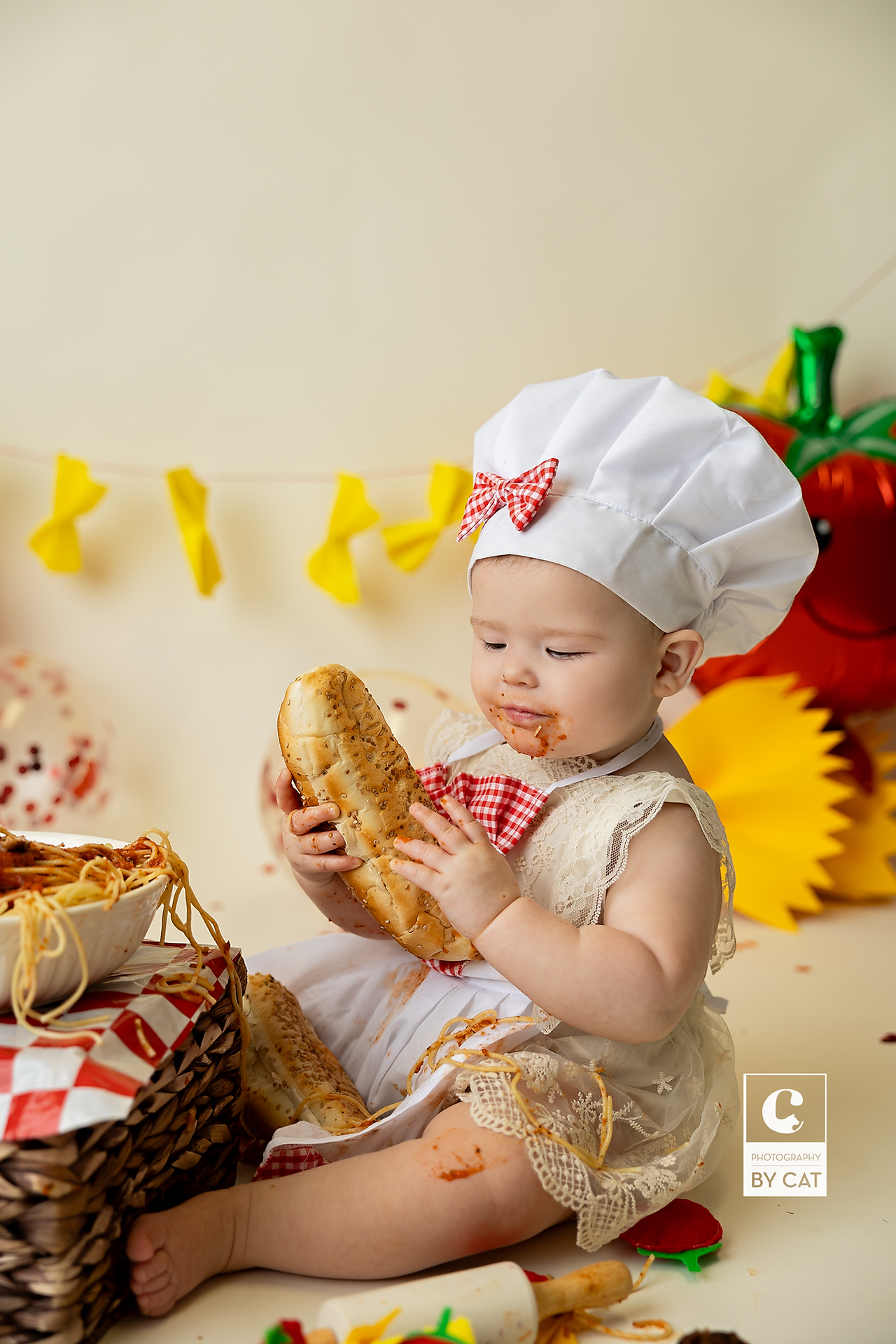 Lansing, Michigan cake smash photographer