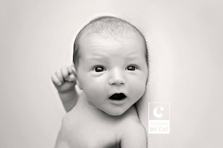 Okemos, Michigan Newborn Photographer