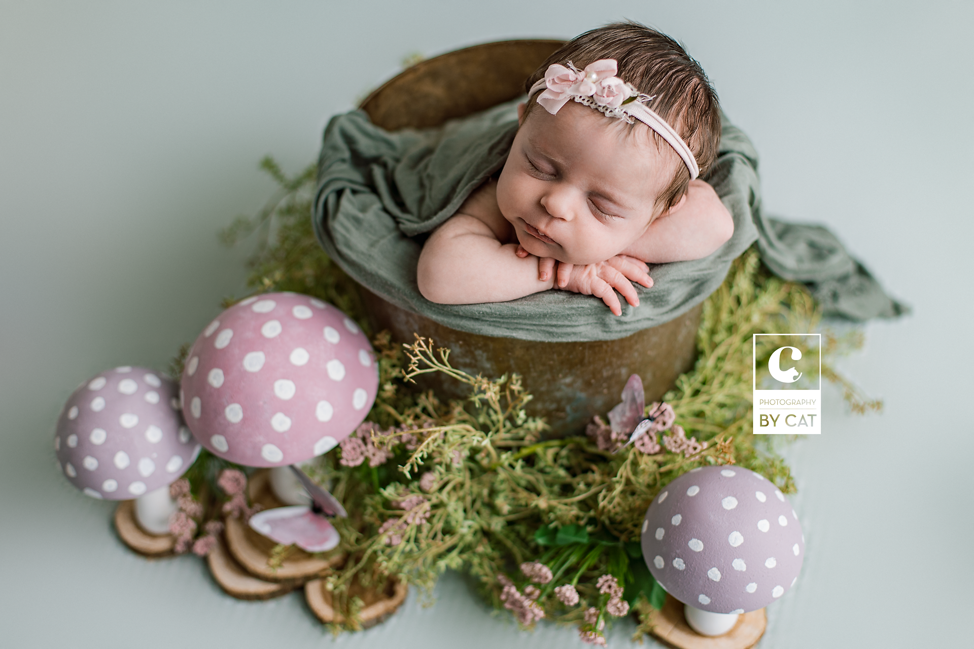 Lansing, Michigan newborn photographer