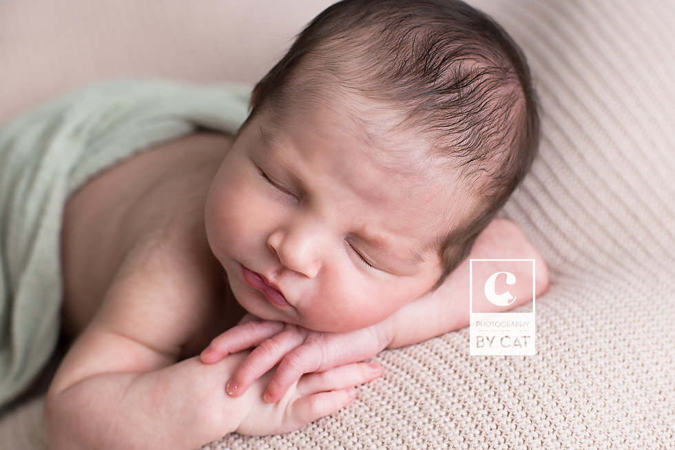 Okemos, Michigan Newborn Photographer 