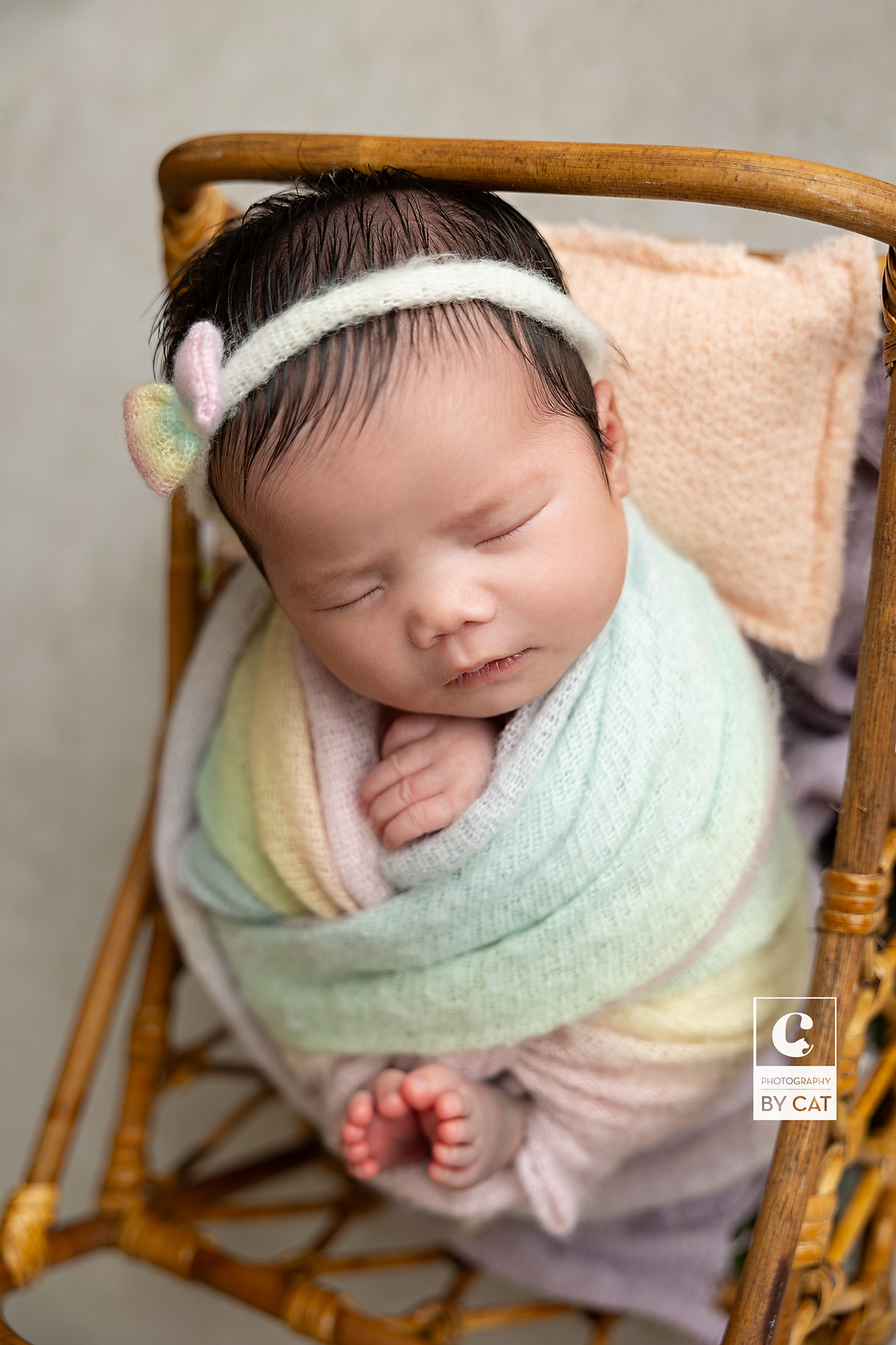 Lansing, Michigan newborn photographer