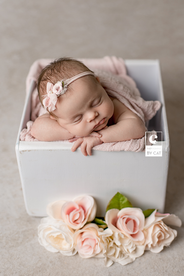 Lansing, Michigan newborn photographer