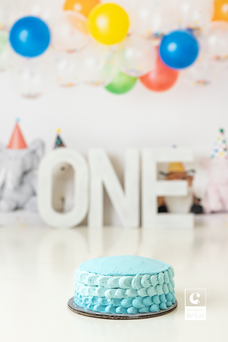 Lansing, Michigan newborn photographer