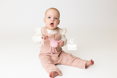 Ingham county, Michigan cake smash photos