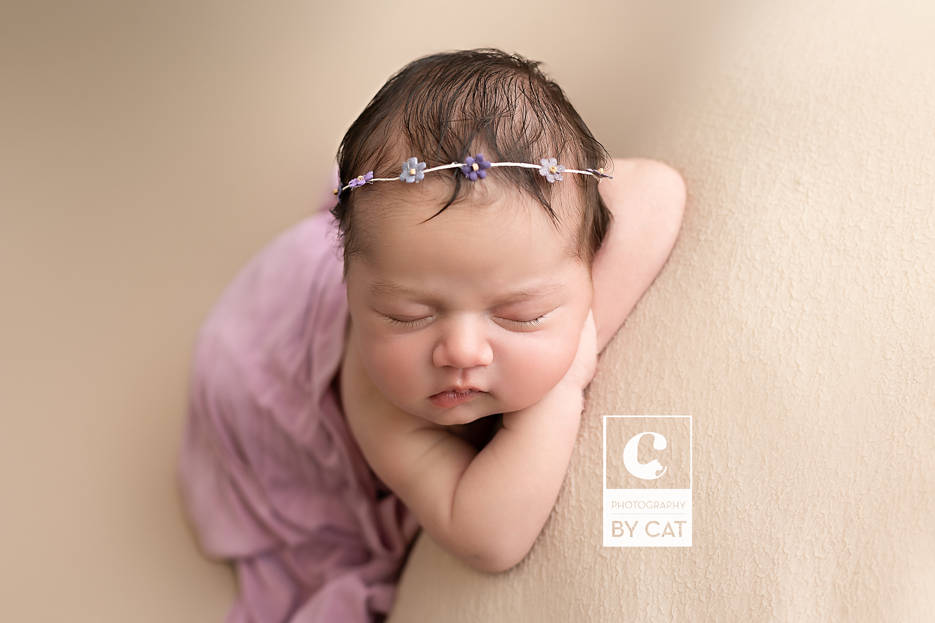 Lansing, Michigan Maternity Photographer