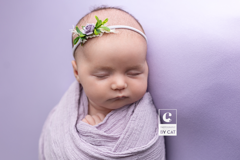 East Lansing, Michigan newborn photographer