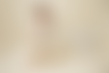 Lansing, Michigan cake smash photographer