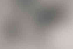 Howell, Michigan Newborn Photographer